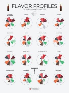 Wine Flavor Profiles of Red Wines Infographic