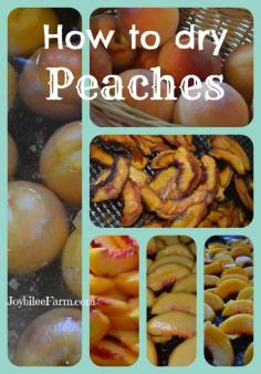 How to dry peaches - Joybilee Farm