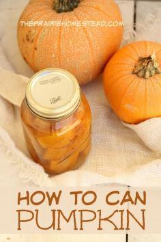 How to Can Pumpkin -- yes, it's possible! And it's easier than you think.