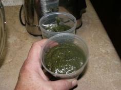 
                        
                            Canning Granny: Dessert Mint Pesto
                        
                    