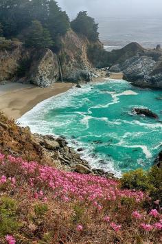 You'll see this beautiful scene when your Coastal California Road Trip travels through Big Sur. Another pinned said: "Naked Ladies (the pink flower variety) cascade down the hill before McWay Falls, BIg Sur, California"