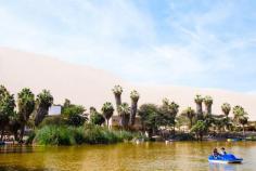 
                        
                            Huacachina: the one and only oasis in South America! #PERU
                        
                    
