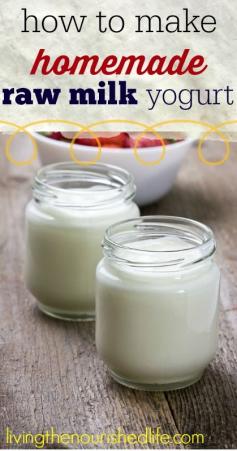 
                        
                            How to make homemade raw milk yogurt - livingthenourishe...
                        
                    