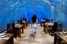
                    
                        Undersea Hotel Hilton, Maldives, luxury boutique hotels
                    
                