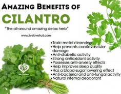 
                    
                        A Healing Cleanse with Cilantro?
                    
                
