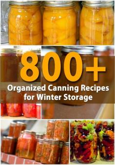 
                    
                        800+ Organized Canning Recipes for Winter Storage
                    
                