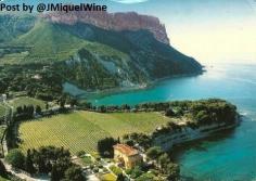 
                    
                        VINEYARDS of CASSIS, #Provence, #France Full body & Herbal Aroma #wine of Marsanne-Roussanne #winelover Wonderful !! pic.twitter.com/D4fVNOXrAu
                    
                