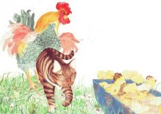 
                        
                            The Adventures of Pan the Cat my un-published picture book all about chicken coop fun:)
                        
                    