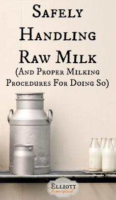 
                    
                        Safely Handling Raw Milk (And Proper Milking Procedures For Doing So) | The Elliott Homestead
                    
                