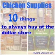 
                    
                        10 Chicken Supplies from the Dollar Store
                    
                