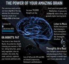 
                    
                        Your Amazing Brain
                    
                