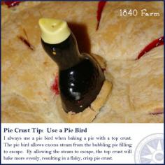 
                    
                        Pie Crust Tips » 1840farm.com
                    
                