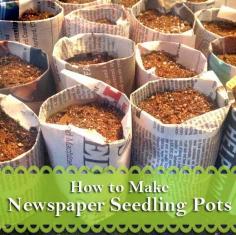 
                    
                        Katie's Farm: Newspaper Seedling Pots
                    
                