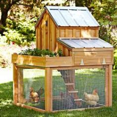 
                    
                        Chicken Coops & Backyard Chicken Coops | Williams-Sonoma - Very cute, but I'm sure you could DIY for far less than $1500.
                    
                