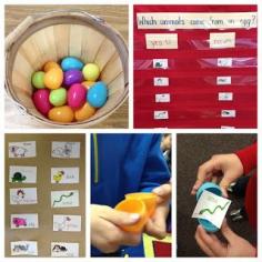 
                    
                        Apples and ABC's: Animal Sorting with Easter Eggs
                    
                