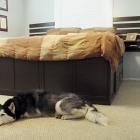 
                    
                        Ana White | Build a King Storage Bed | Free and Easy DIY Project and Furniture Plans
                    
                