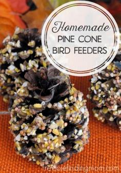 
                        
                            Homemade Pine Cone Bird Feeders - Mother nature provides the main "ingredient" in these easy fall crafts. Using pine cones are the perfect way for you and the kids to partake in a fun, frugal and fall inspired project.
                        
                    