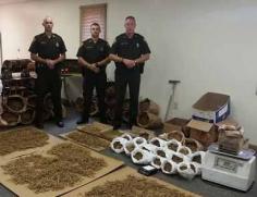 
                    
                        This week, the West Virginia natural resources police say they have made 11 arrests and seized 190 pounds of ginseng that they claim is illegal, because it was not harvested and licensed under the required conditions. According to The West Virginia Department of Natural Resources, the state managed to plunder over $180,000 worth of ginseng…
                    
                