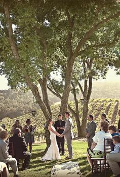 
                        
                            Brides.com: 13 Creative Ideas for a Winery Wedding. Fine wine, good food, and gorgeous scenery—we can't think of a reason not to get married on a vineyard! These venues are dotted all over the U.S., from Long Island to Napa Valley. Celebrities like Molly Sims, Seth Rogen and Robin Williams all got hitched surrounded by grapevines, as have many of our real brides. Some of these nuptials had rustic, outdoorsy décor and others fell on the more formal end of the spectrum, but all embraced the setti…
                        
                    