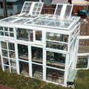 
                    
                        Old windows become garden preservers with this pioneer spirit upcycle
                    
                