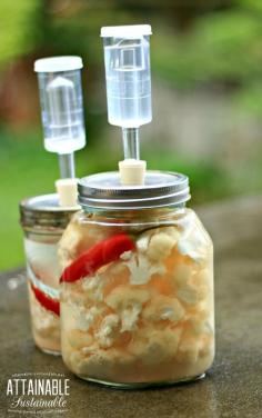 
                    
                        Fermenting cauliflower- or any vegetable - is super easy! Here's how I became a convert.
                    
                