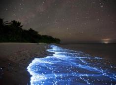 
                    
                        Sea of Stars on Vaadhoo Island in the Maldives | 129 Places Worth Visiting Once in a Lifetime
                    
                