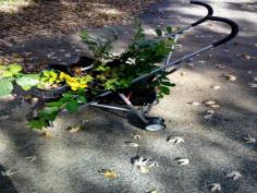 
                    
                        This DIY Stroller Plant Cart will hold 8-10 plant pots (the $4.97 size Mike sells) and maneuvers well over most surfaces.
                    
                