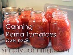 
                    
                        Canning Tomatoes, Step by step instructions and recipe for raw pack method.
                    
                