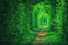 
                    
                        Tunnel of Love, Klevan, Ukraine | 129 Places Worth Visiting Once in a Lifetime
                    
                
