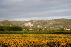 
                    
                        Tuscany
                    
                