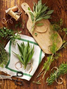 
                    
                        How to Dry Herbs Enjoy home-grown summer flavor all year by learning how to dry herbs! Find various methods and helpful tips for how to dry fresh herbs, and how to make a fragrant fire starter after drying fresh herbs.
                    
                