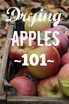 
                    
                        Preserve all your fall apples by drying them! How To Make Your Own Dried Apples | areturntosimplici...
                    
                