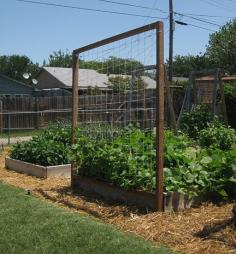 
                    
                        pretty straightforward trellis for a raised bed
                    
                