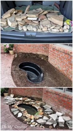 
                    
                        DIY BACKYARD POND
                    
                