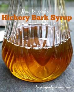 
                    
                        Surprisingly, the hickory bark may used to make syrup similar to maple syrup. Hickory bark is first made into tea; sugar is added to turn it into syrup.
                    
                