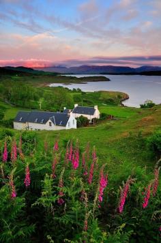 
                    
                        The Steadings, Isle of Mull Scotland
                    
                