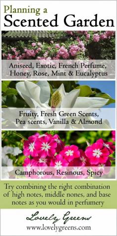 
                    
                        The 15 Categories of Scented Flowers and Plants + a Scented Plants Book Giveaway ~ Lovely Greens ~ #gardening
                    
                