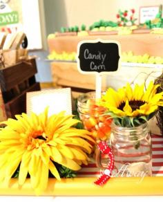 
                    
                        Farmer's market birthday party candy corn! See more party planning ideas at CatchMyParty.com!
                    
                