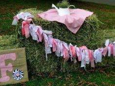 
                    
                        Cute decorations at a farm birthday party!  See more party planning ideas at CatchMyParty.com!
                    
                