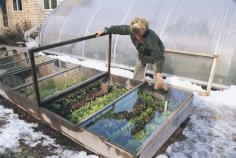 
                    
                        A cold frame with a glass top can give you a 12-month growing season, even in Maine, and it's the easiest and most economical way to extend your harvest. Build the one described here, and you're on your way to fresh veggies year round.
                    
                