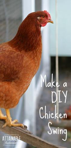 
                    
                        Make a DIY chicken swing from items you probably already have on hand. Instant entertainment (for you and them)!
                    
                
