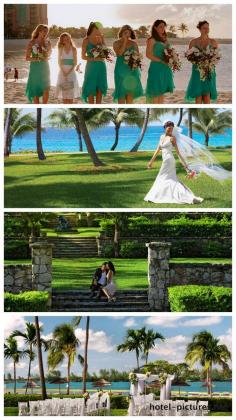 
                    
                        Luxury resorts in Paradise Island for wedding. Plan a #wedding with any kind of budget in the #Nassau #Paradise #Islands and you would be nothing but all smiles with the wide array of resorts the Island has to offer. Let’s take a short review of a few resorts which would leave you mesmerised.
                    
                