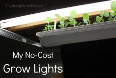 
                    
                        My No-Cost Grow Lights
                    
                