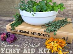 
                    
                        Grow an Herbal First Aid Kit for Your Chickens | Fresh Eggs Daily®
                    
                