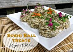 
                    
                        Healthy Sea Kelp Sushi Ball Treats for the Chickens
                    
                