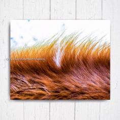 
                    
                        Red Horse Mane with Lone Spot 8x10 by RockyMountainMajesty on Etsy
                    
                