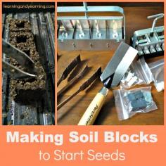 
                    
                        Soil blocks are a way to start healthy seeds without pots. Give it a try!
                    
                