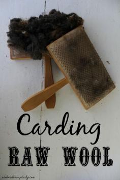 
                    
                        Interested in learning how to card and spin your wool?Carding Raw Wool | areturntosimplici...  A Picture Tutorial.
                    
                