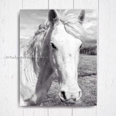 
                    
                        White Mustang Printable Art Print Stallion by RockyMountainMajesty
                    
                