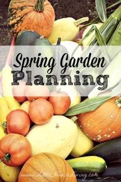 
                    
                        Are you working on planning your garden? Here are a bunch of great tips and ideas plus a FREE 13 page Gardening and Preserving Journal!
                    
                